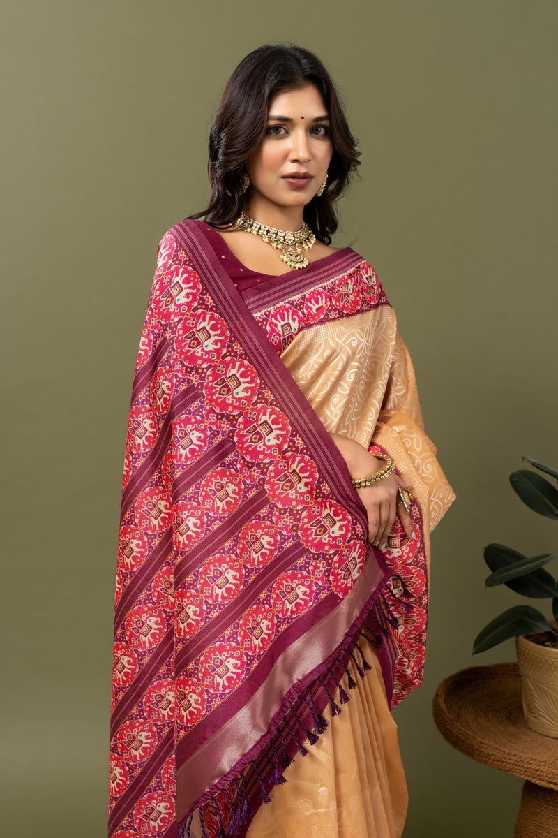 Pavitra Pink Patola Pallu Saree-Saree-Ekana Label